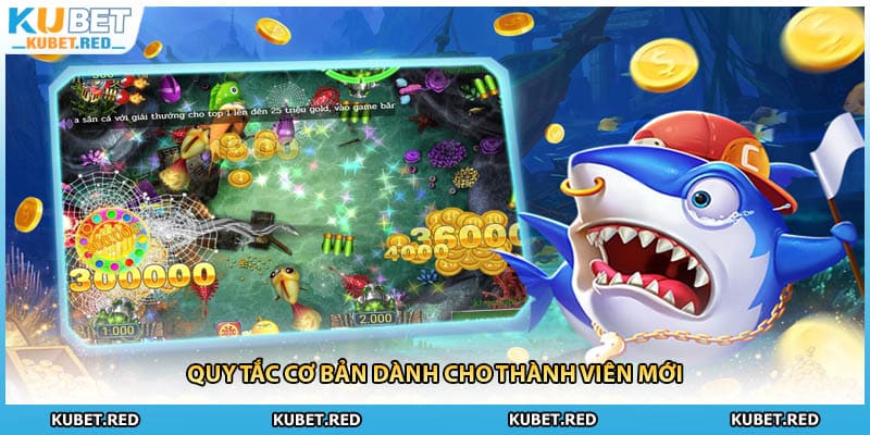Quy tắc cơ bản dành cho thành viên mới